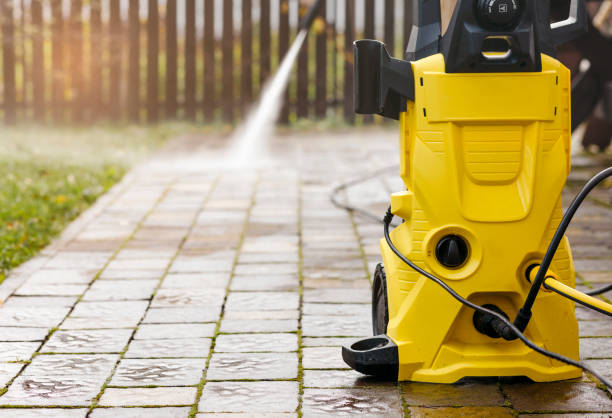 Animal Enclosure Cleaning in Westfield, NJ